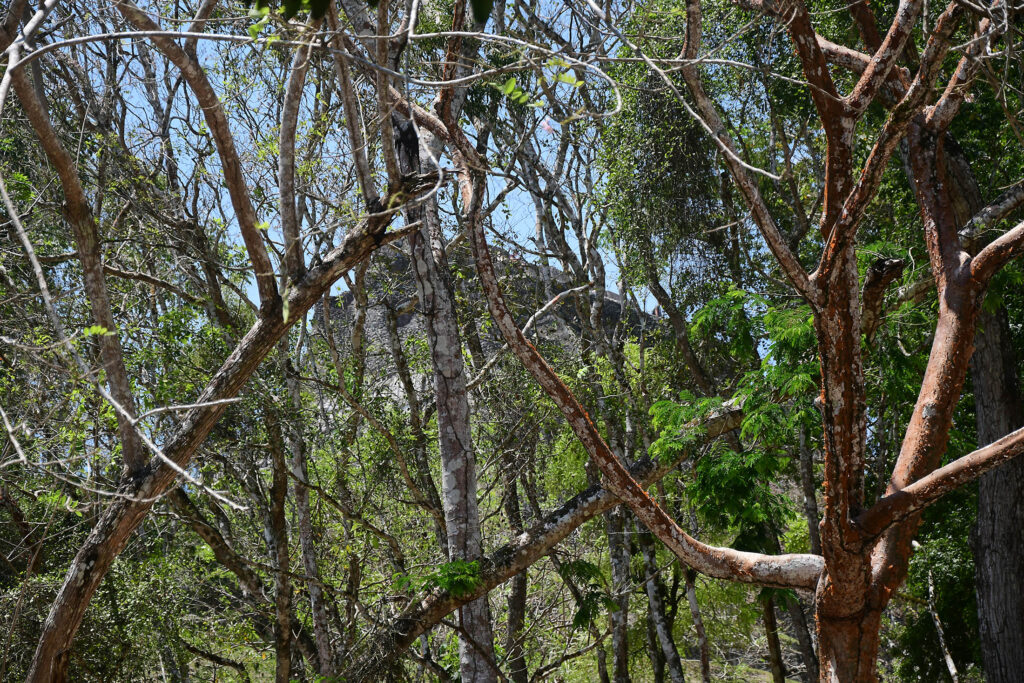 DSC_8408