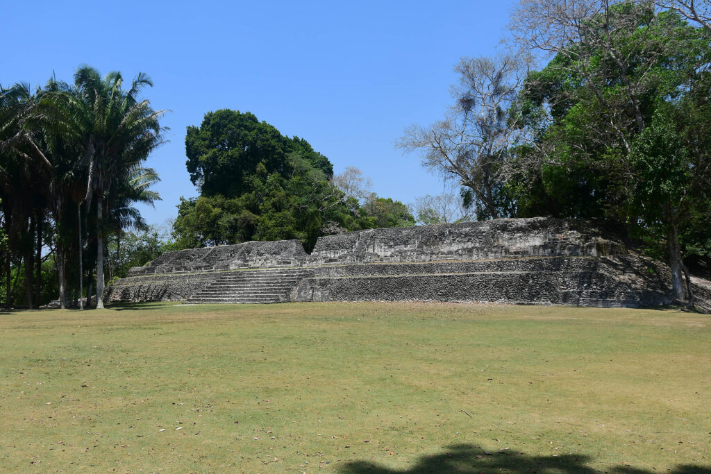 DSC_8420