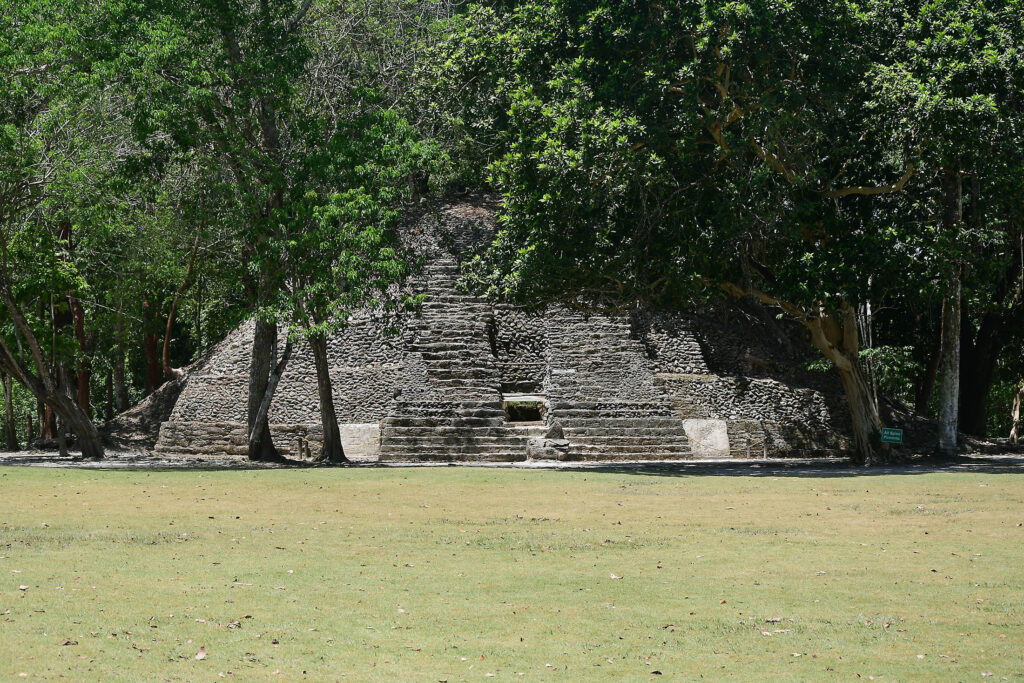 DSC_8421