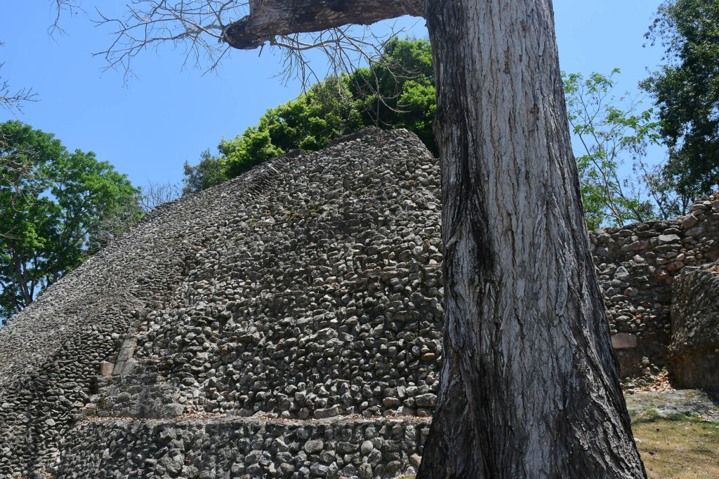 DSC_8448
