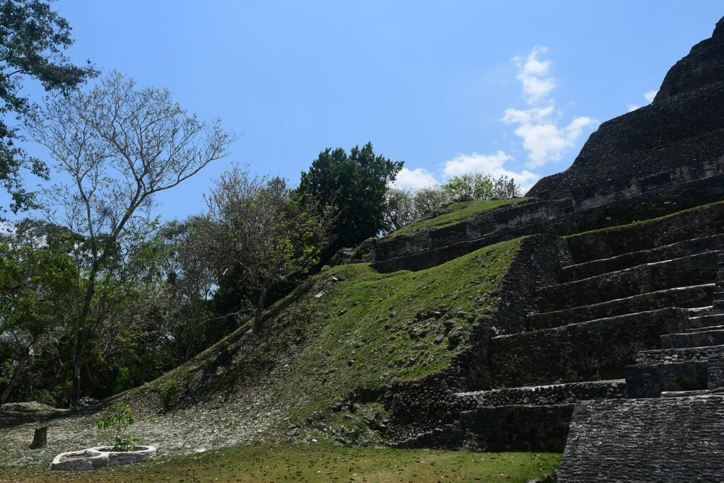DSC_8465