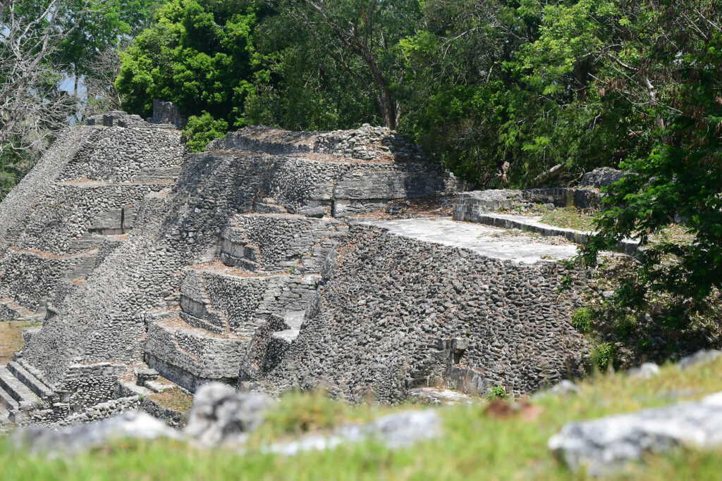 DSC_8473