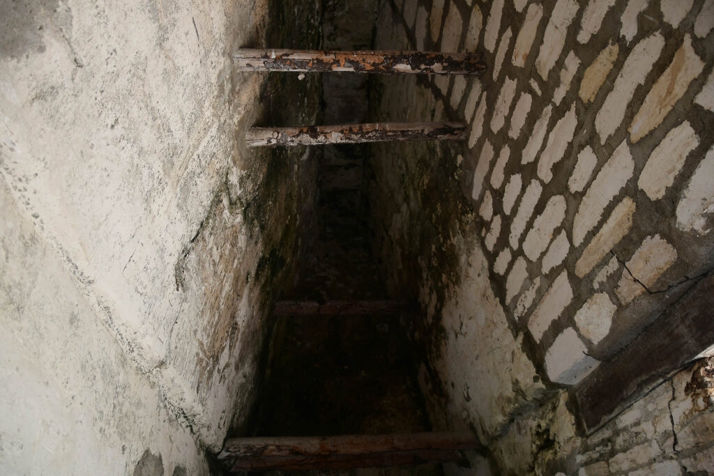 DSC_8546