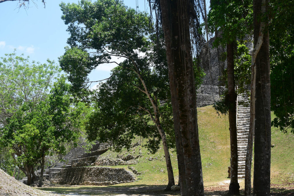 DSC_8573