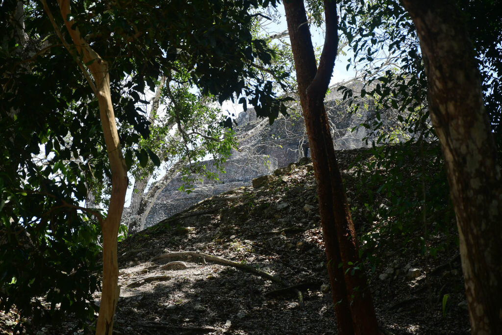 DSC_8579