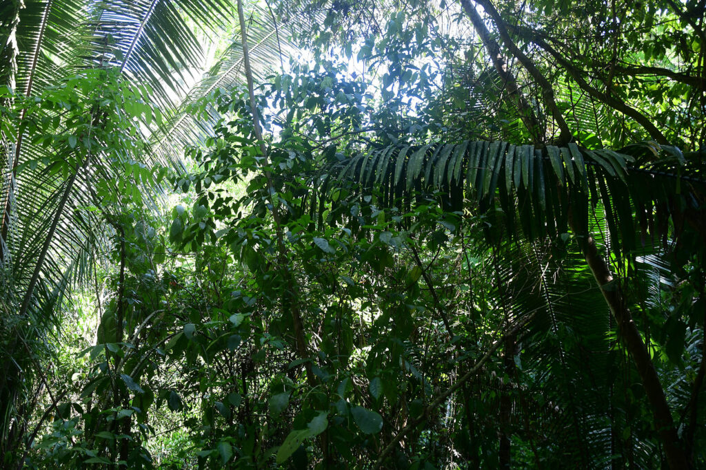 DSC_8687
