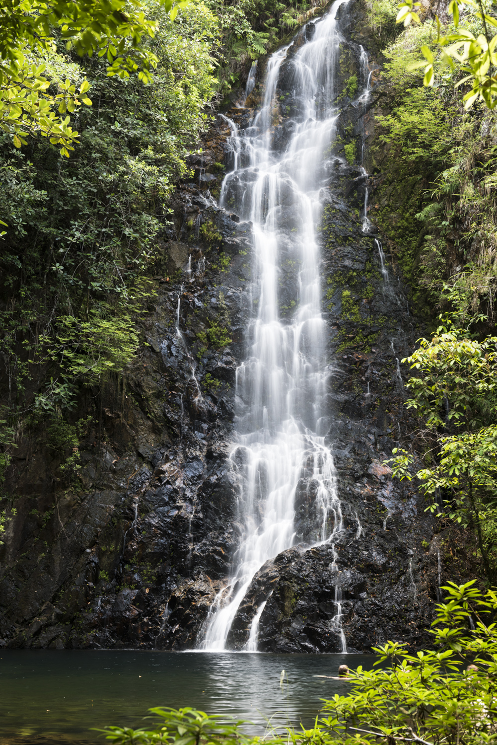 CayoDistrict_ButterflyFalls_0136-2