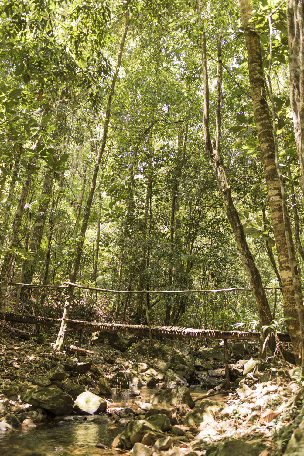 CayoDistrict_ButterflyFalls_Hike_0036-2