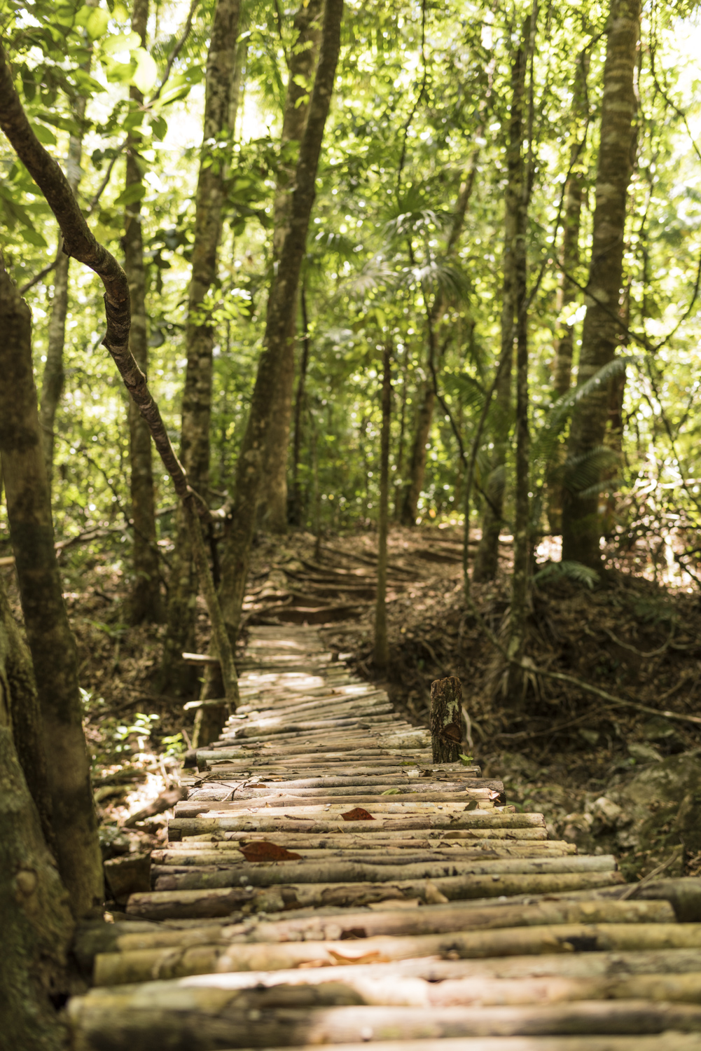 CayoDistrict_ButterflyFalls_Hike_0041-2