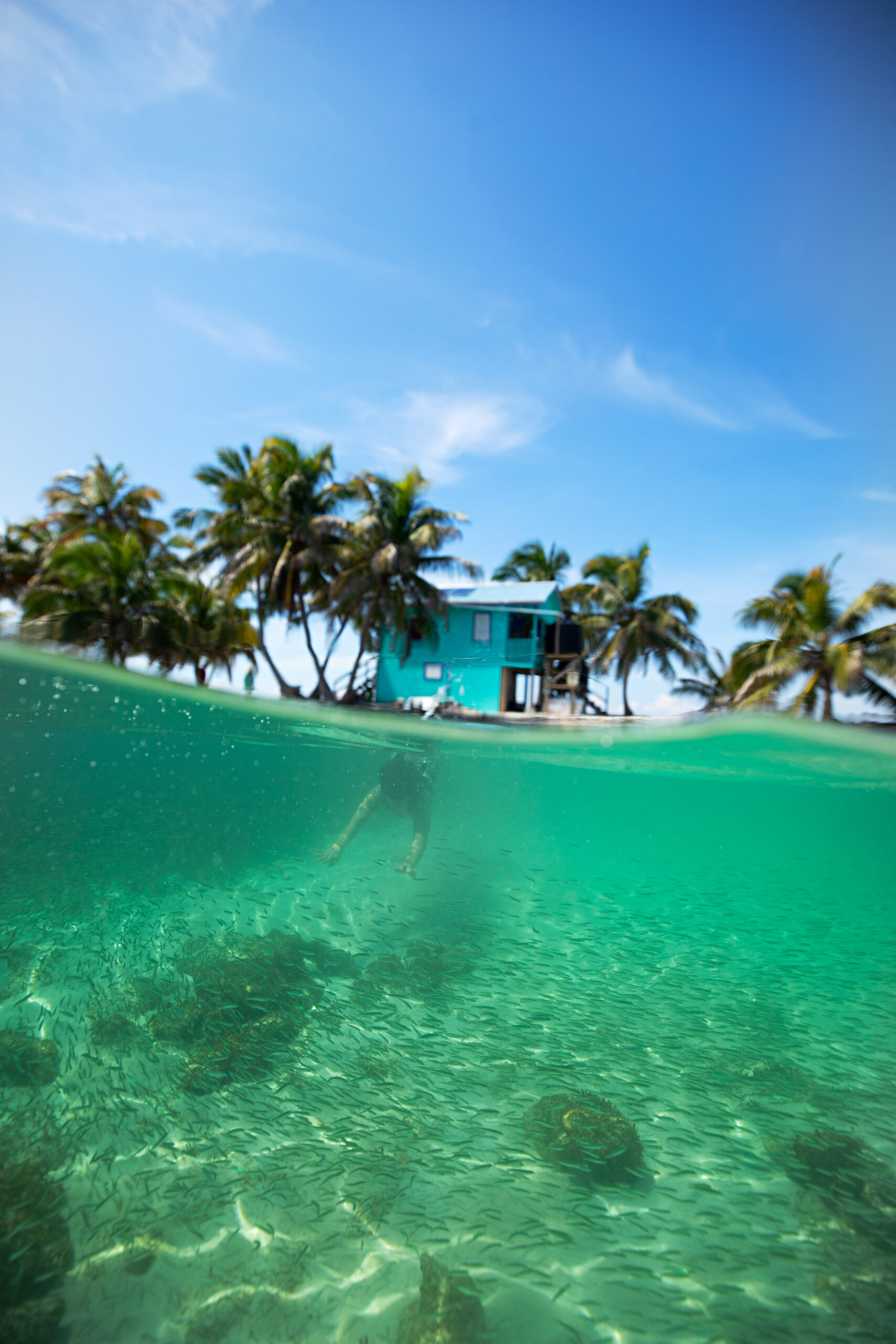 Laughing-Bird-caye_51A8788