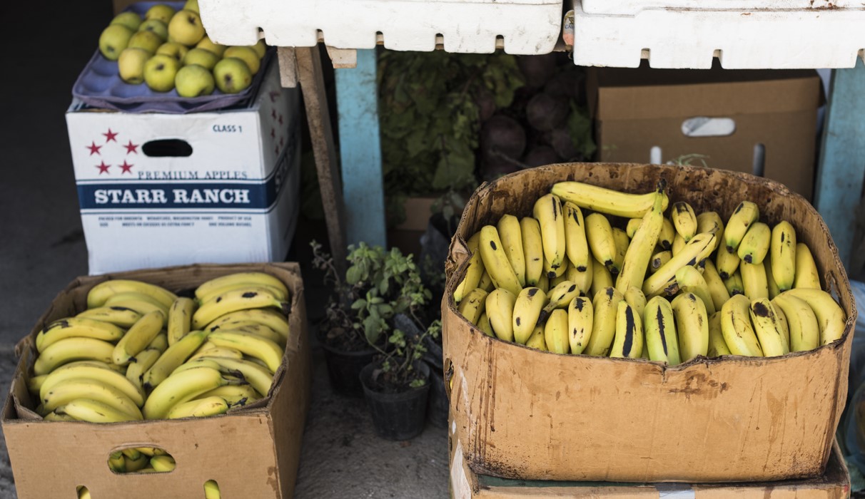 SanIgnacio_Market_0038-3