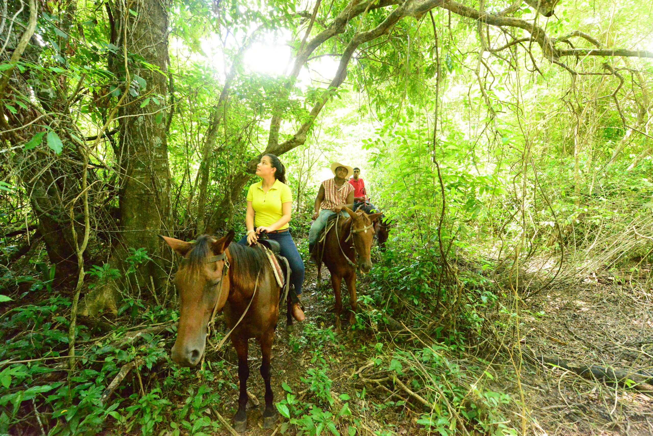bananabanklodge-horsebackriding28_9316284786_o