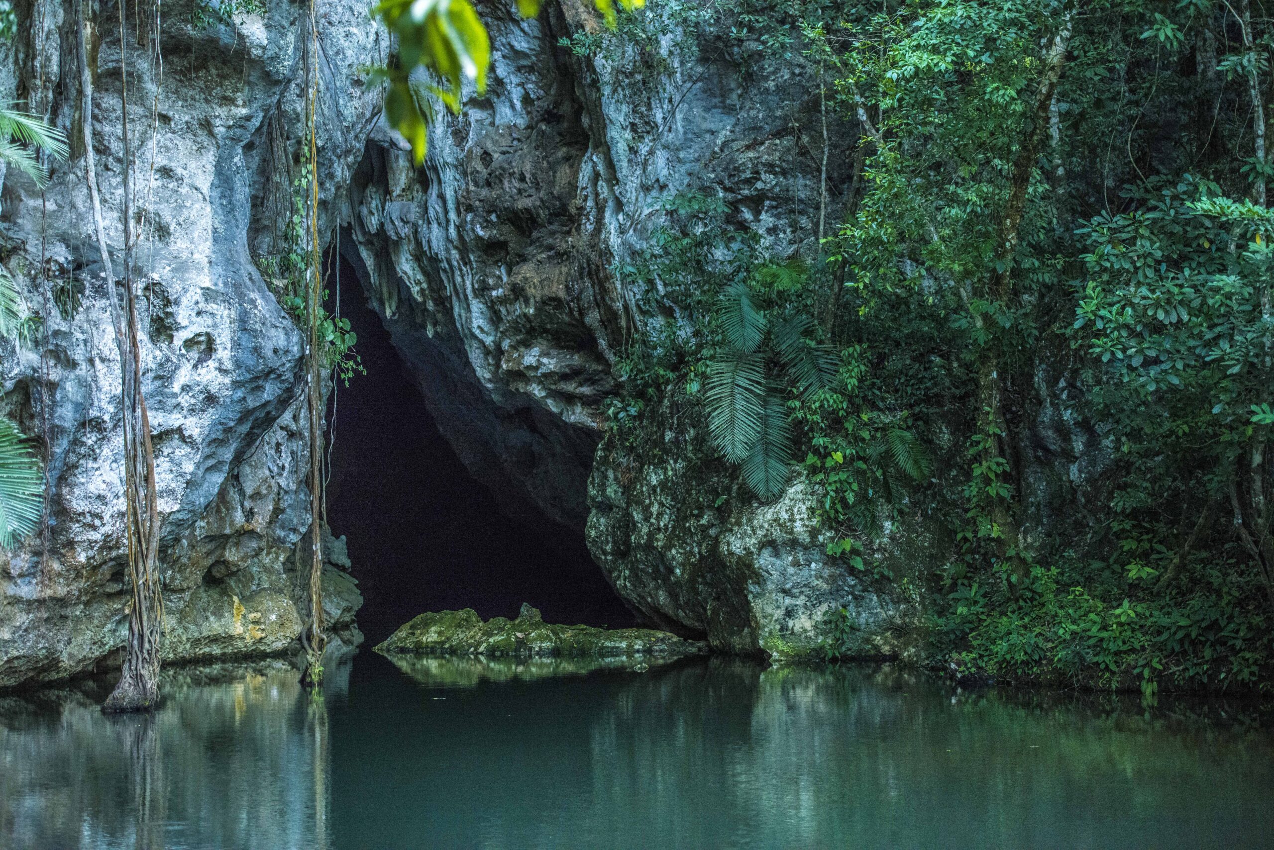 barton-creek-cave-as-27_14989650004_o