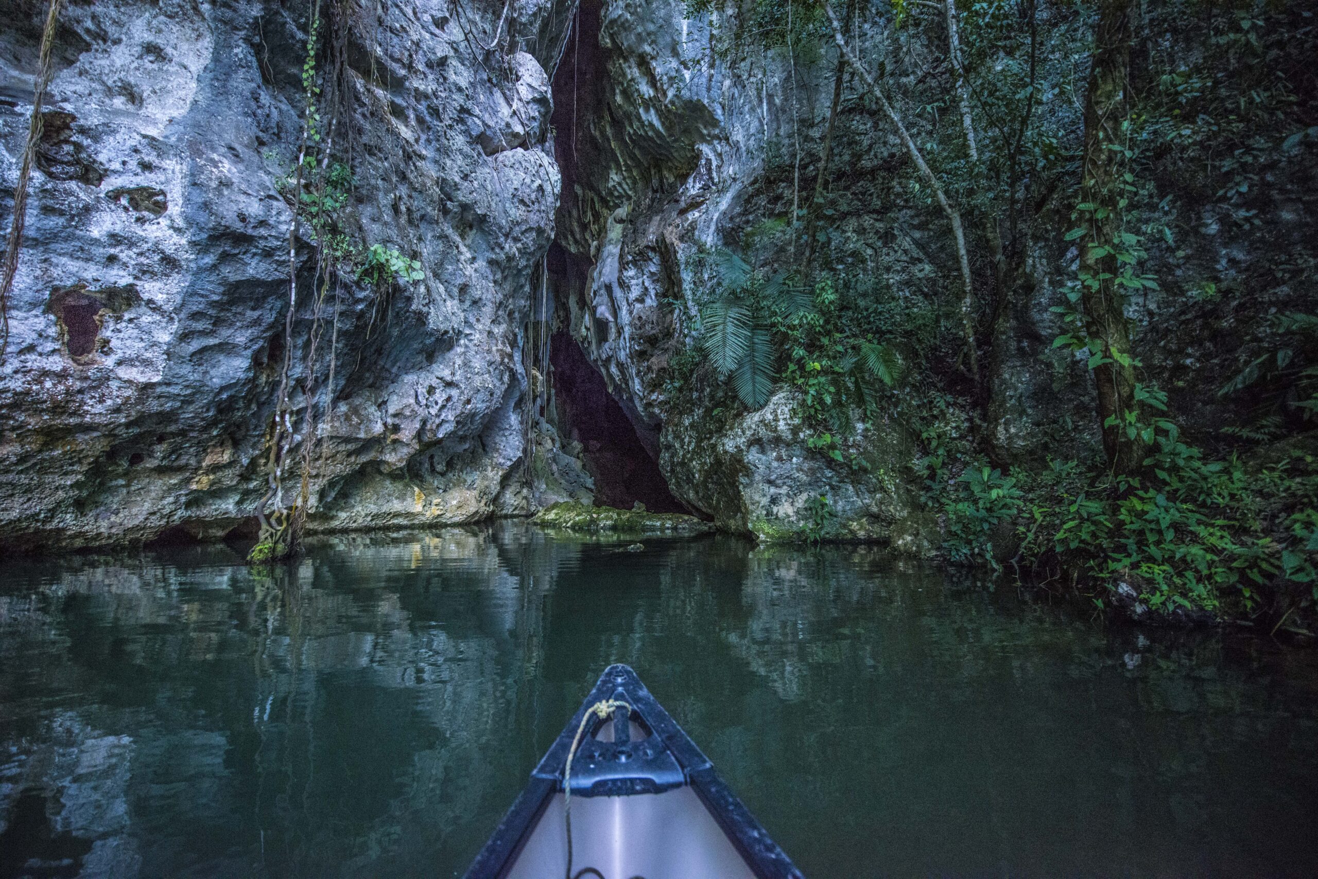 barton-creek-cave-as-35_14990636603_o