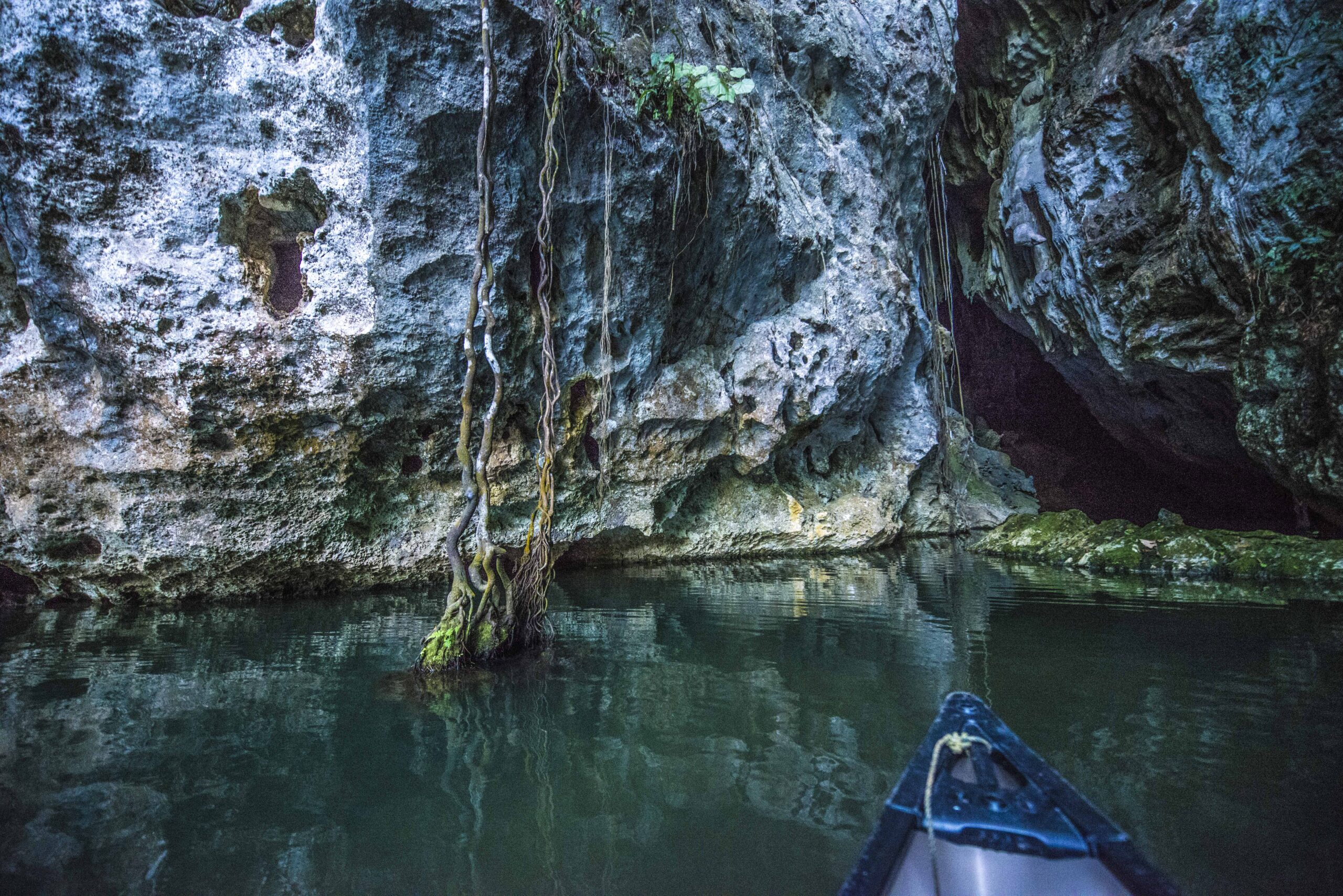 barton-creek-cave-as-37_15587100596_o