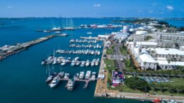pier-41-marina