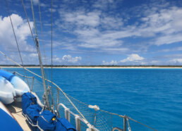 https://www.spiritofargo.com/2014/05/10/plana-cays-peach-sands-and-shell-hunting/