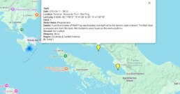 Petty Thefts 🥷 Bocas del Toro