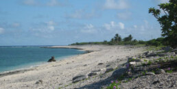 Minamitorishima Island Shore