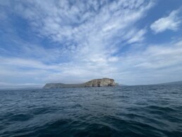 Land ho Shetland Islands