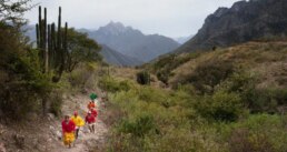 Tarahumara