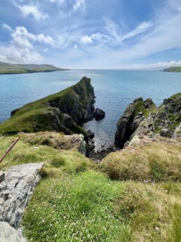 Today’s hike to the gorgeous bluffs entering Lerwick where they set up big ass guns in WW2 to guard against the Nazi’s