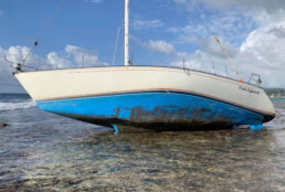 https://www.cbc.ca/news/canada/manitoba/winnipeg-sailor-1.5023704