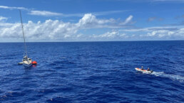 6th yacht this year
