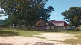 village in central lau group